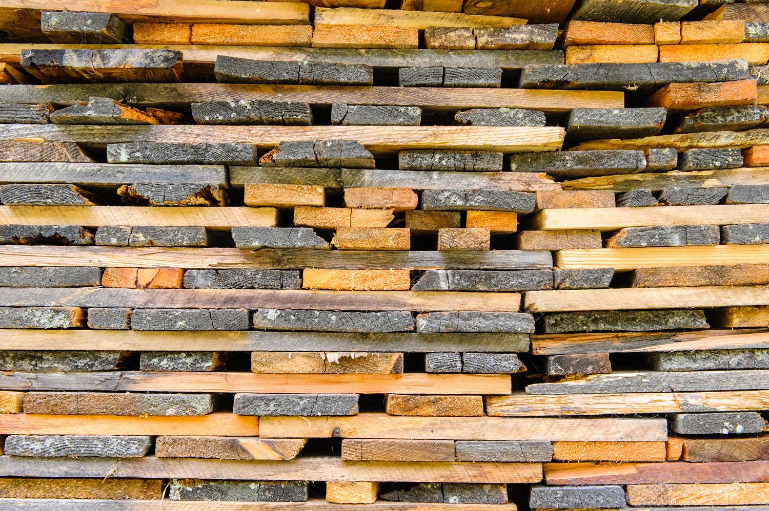 Jakie drewno konstrukcyjne?