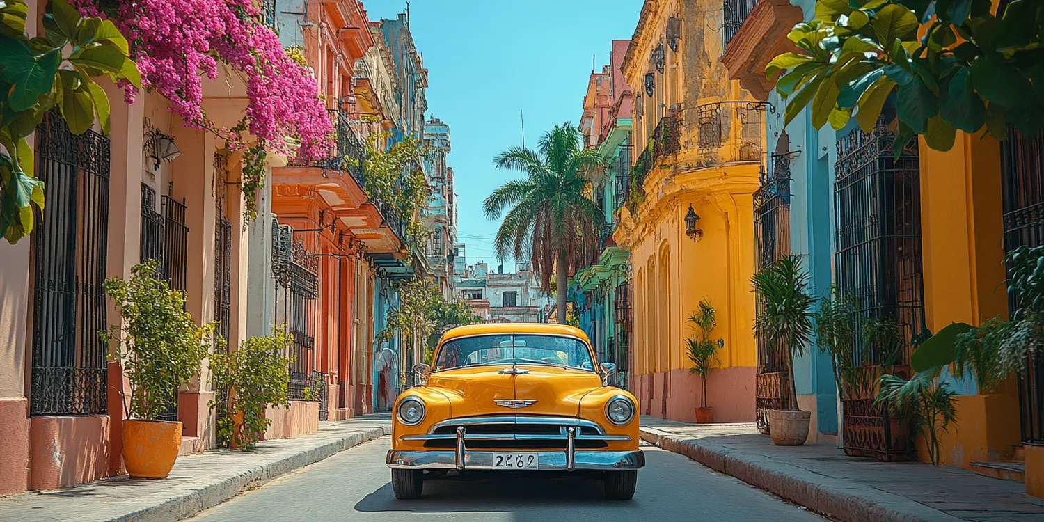 Jakie studia podjąć, aby zostać przewodnikiem?