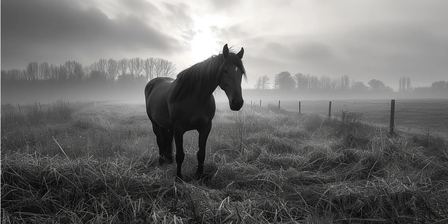 Krematorium dla zwierząt - alternatywa dla utylizacji